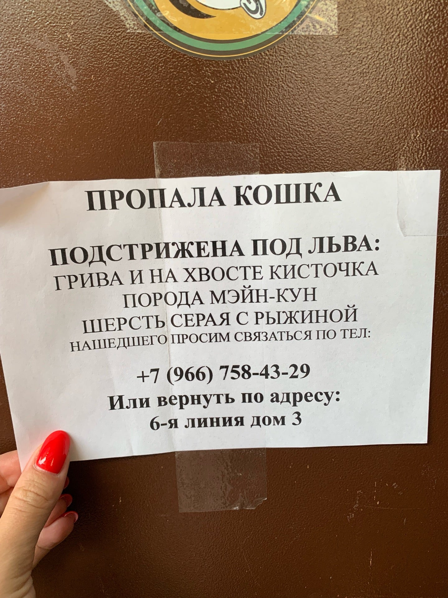 Магазины на улице Всеволода Боброва рядом со мной на карте – рейтинг  торговых точек, цены, фото, телефоны, адреса, отзывы – Санкт-Петербург –  Zoon.ru