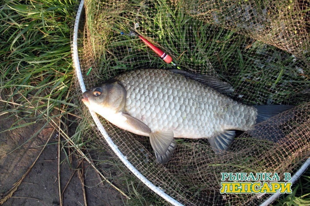 Рыбалка в Челябинской области на озерах | VKontakte