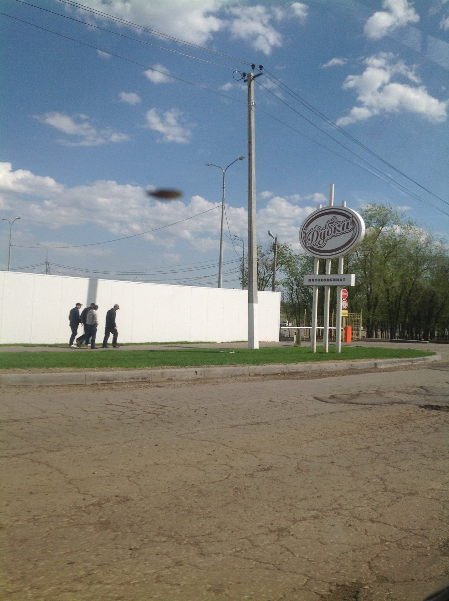 Магазин фирмы дубки. Дубки балаково. Дубки ставрополь. Дубки, самара, демократическая улица, 52. Дубки балаково.