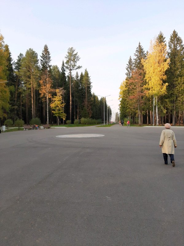 Свердловская область городской округ ревда мечта