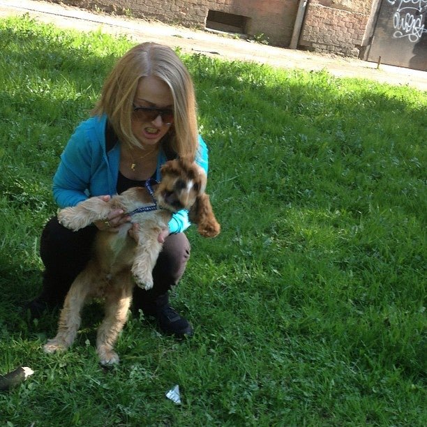 тсж чернышевского