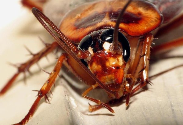 Новости и сообщения из официальной группы Вконтакте Службы дезинфекции на метро 