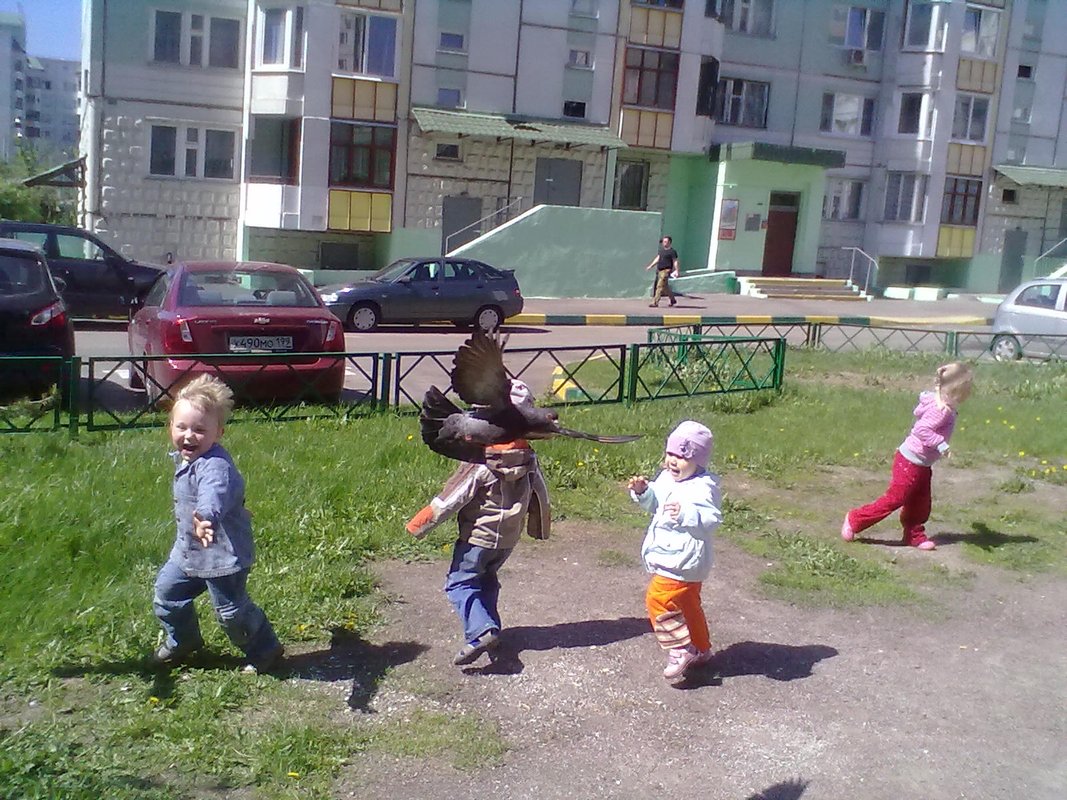 Детские юзао. Детский сад в новой щербинке. Современный детский сад. Парк северное бутово парк детская площадка. Танцы для детей москва.