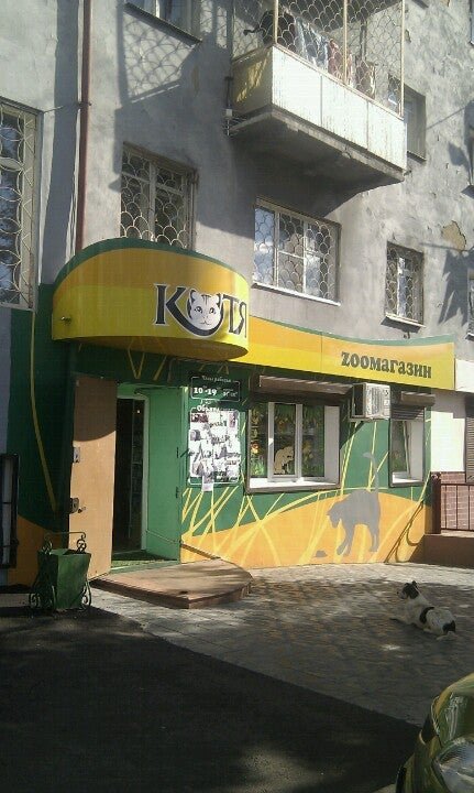 зоомагазин чита совы. зоомагазин чита. зоомагазин чита каталог животных. зоомагазины в чите. зоомагазин чита.