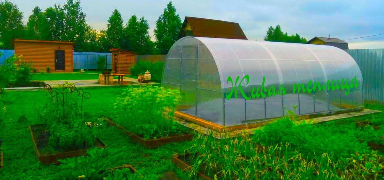 тульский завод готовых теплиц. завод теплиц монтажников 12. перегородка в теплице. завод теплиц монтажников 12. завод белгородских теплиц.