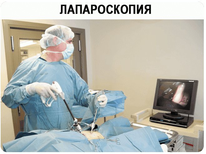 Ветеринарная клиника на метро Котельники - отзывы, фото, цены, телефон ...