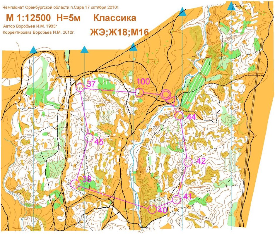 Спортивное ориентирование карта пример