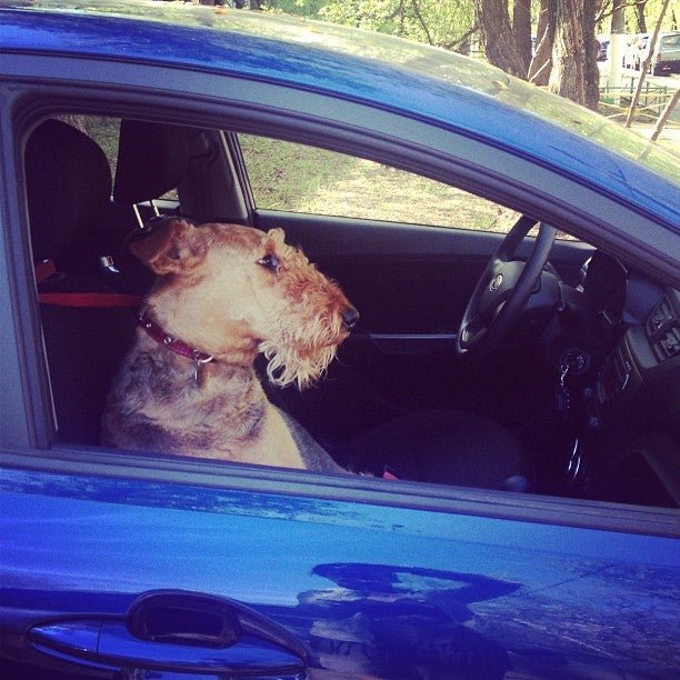 Парикмахерская Эконом-парикмахерская в Кузьминках - отзывы о салоне ...