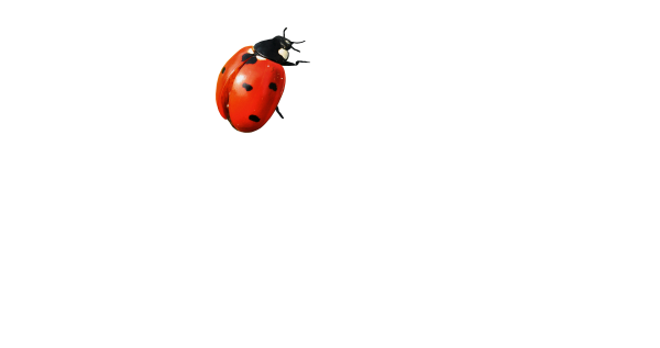 Остекление балконов в великих луках