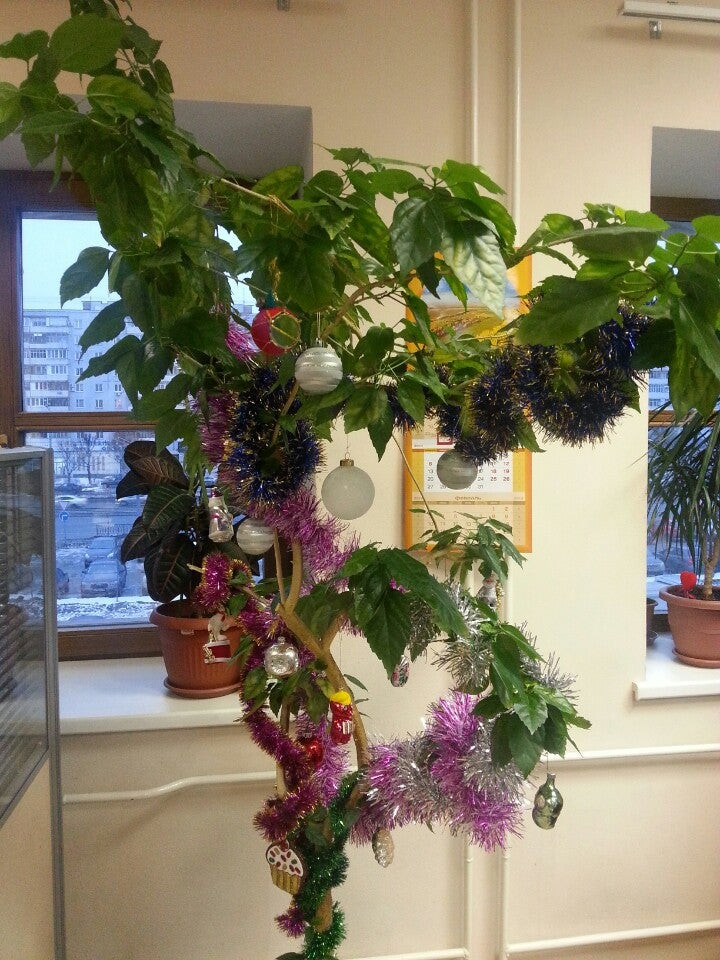 Единый расчетный центр: сеть из 56 учреждений в Казани рядом со мной ...