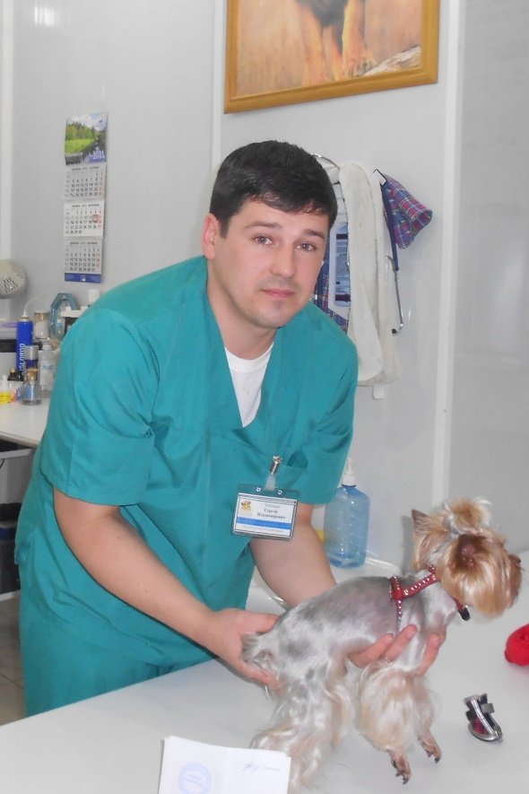 Прайс-лист Ветеринарной клиники Ветеринарный диагностический центр на ...