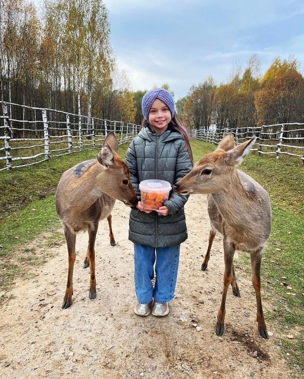 Оленья ферма план