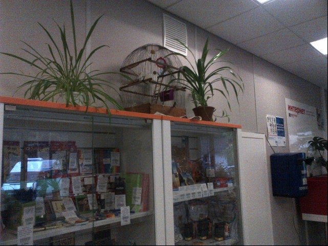 Почта гагарина 10. Почта люберцы. Почта гагарина 10. Гагарина 11 челябинск. Почта гагарина 10.