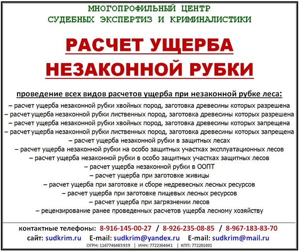 приисковые рубки это. расчет незаконной рубки. незаконная рубка лесных насаждений омп. расчет незаконной рубки. леса для буклета.