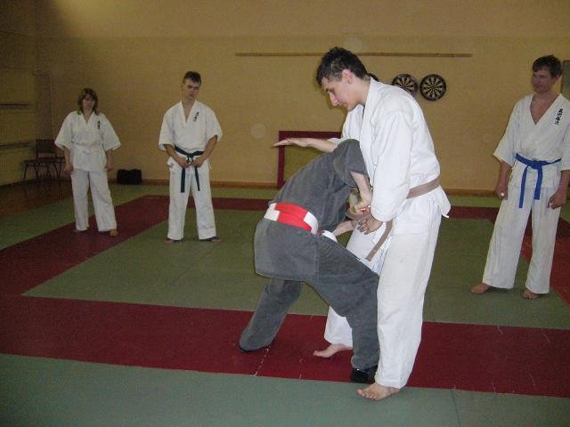 Кодокан госин дзюцу. Федераций кобудо. Син дзюцу. Кэнпо. Син дзюцу.