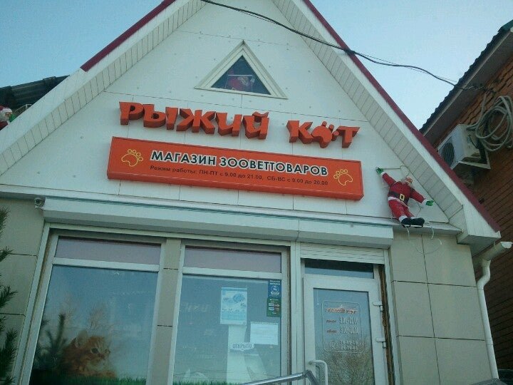Рыжий кот ул гагарина 2 14 фото