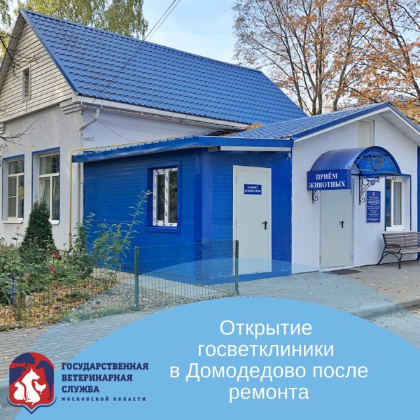 Ветеринарная клиника котопес серпухов. Подольск, большая серпуховская улица, 47. Ветлечебница серпухов круглосуточно. Серпухов бетховен ветеринарная клиника телефон. Ветеринарная клиника крошка енот в серпухове.