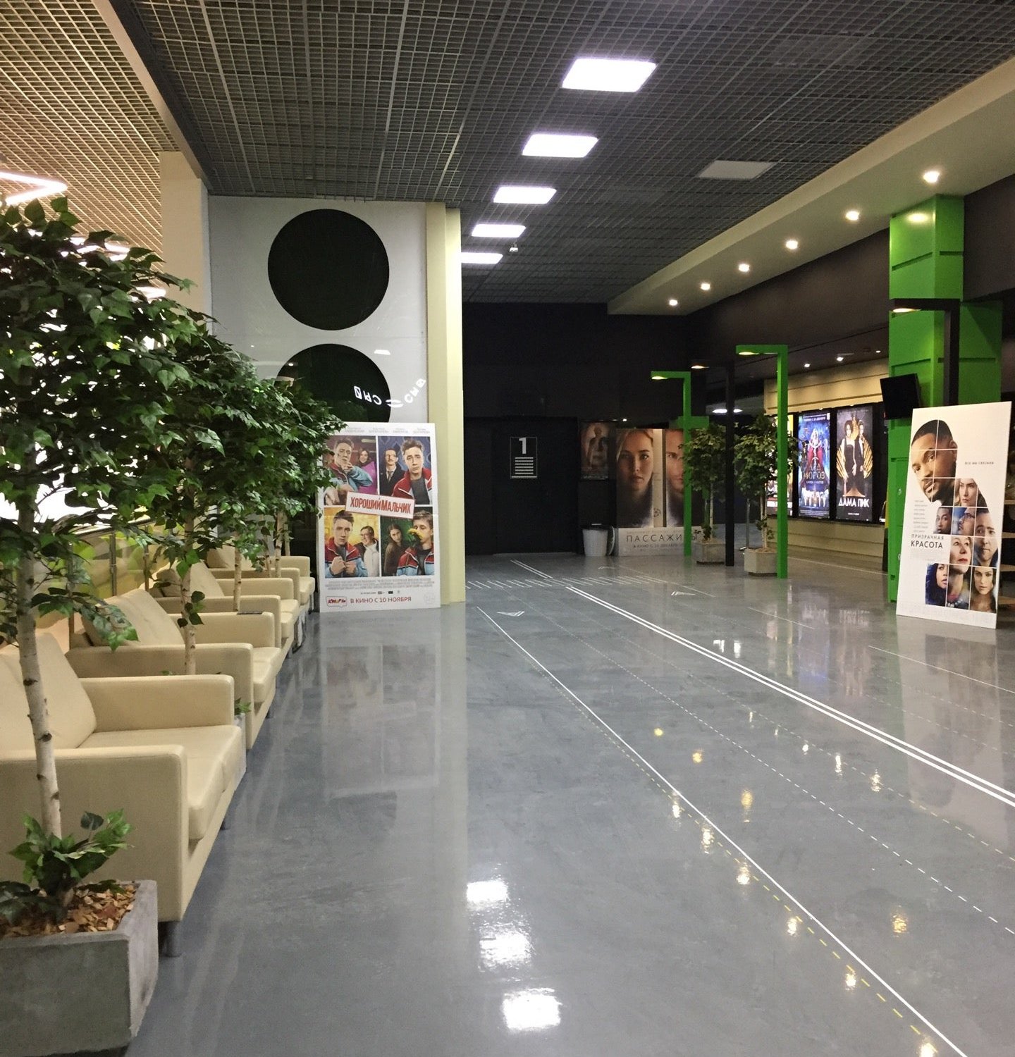 киноград осиново. киноград московский хабарова 2. киноград московский хабарова 2. кинотеатр киноград видное. киноград лесной городок.