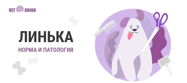 Вет юнион проект инвитро