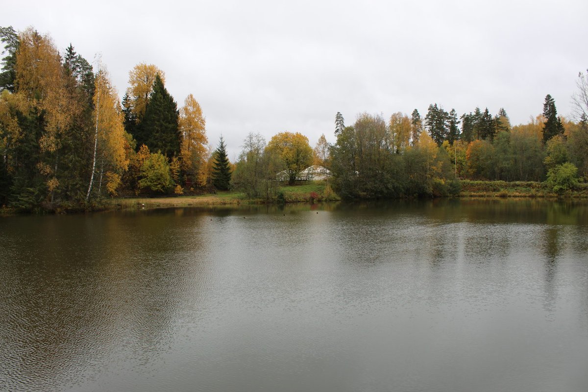 Озеро Болдинцево Курган