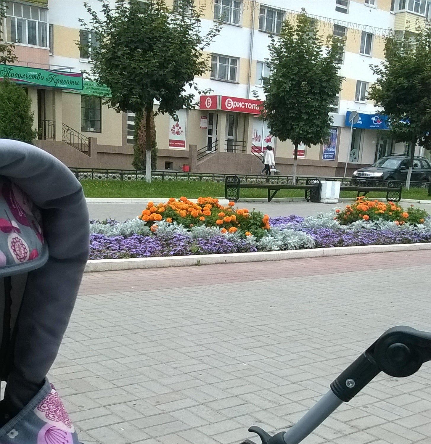 Центральный парк культуры и отдыха - отзывы, фото, цены, телефон и ...