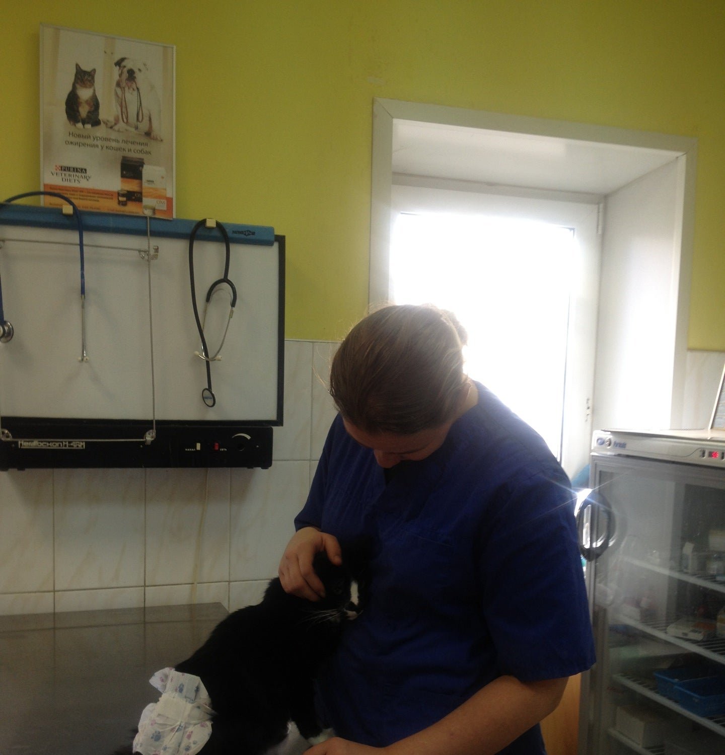 ветеринарный проезд москва. ветклиника на цветочном проезде.