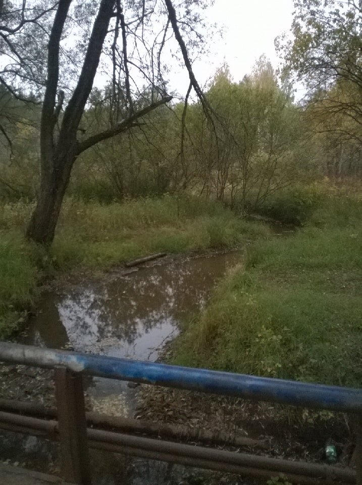 Ресторан Дубравушка в Орехово-Зуево - отзывы, фото, онлайн бронирование ...