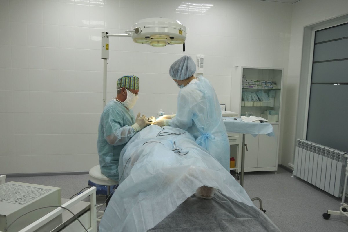 куратова 72 сыктывкар центр эстетической медицины. клиника эстетической медицины сыктывкар. медицинская косметология калининград. центр медицинской эстетики сыктывкар. кирова 45 сыктывкар.