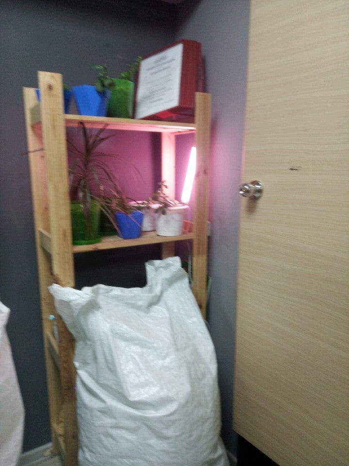 отделение службы доставки Boxberry: сеть из 19 пунктов оказания бытовых ...