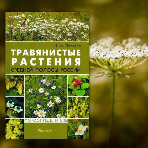 Магазин книг по ландшафтному дизайну и цветоводству Грифбук на метро Ботанический сад (Московское центральное кольцо) - отзывы, фото, цены, телефон и адрес - Магазины - Москва - Zoon.ru