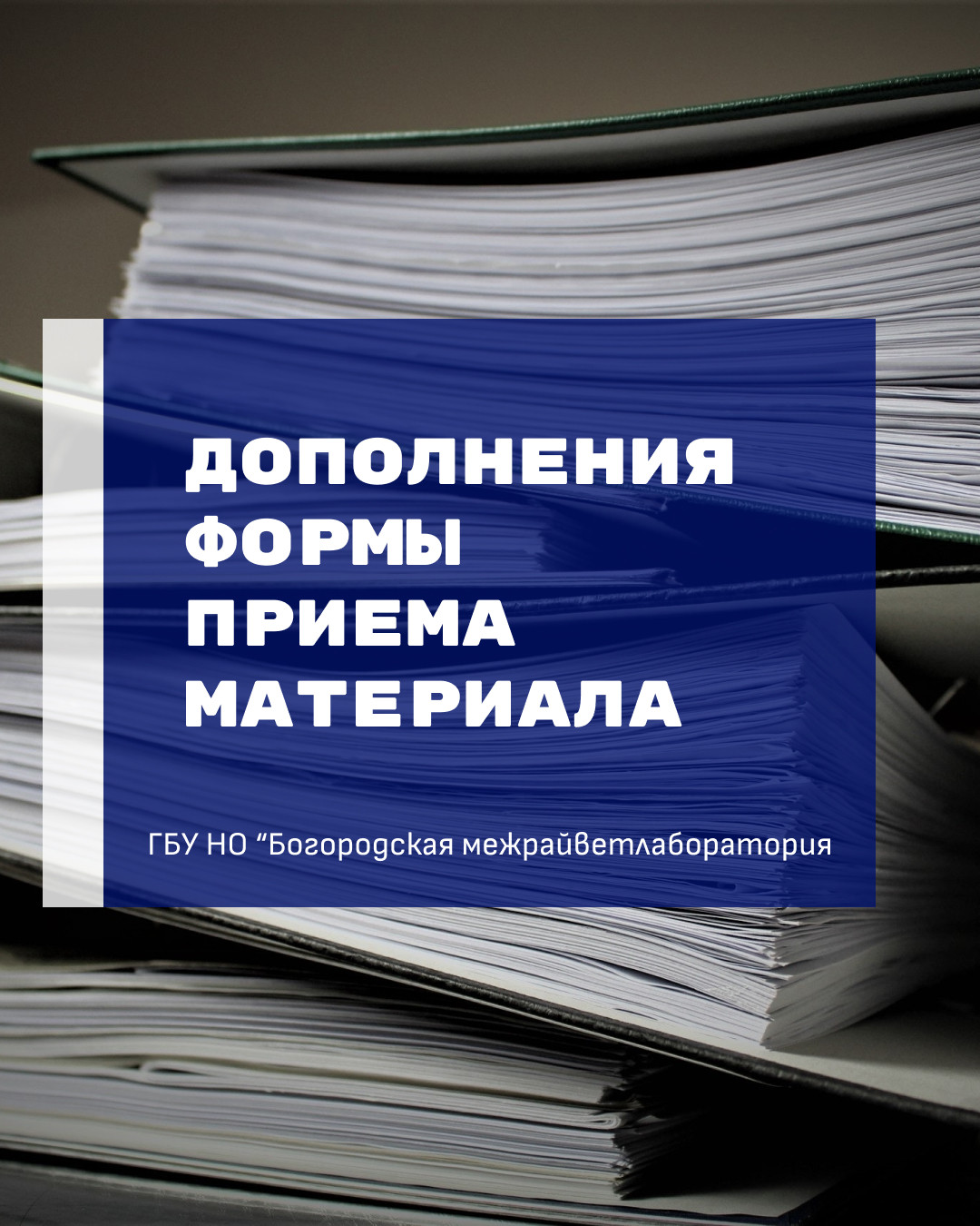 Лучшие ветеринарные клиники Богородска рядом со мной на карте – рейтинг,  цены, фото, телефоны, адреса, отзывы – Zoon.ru