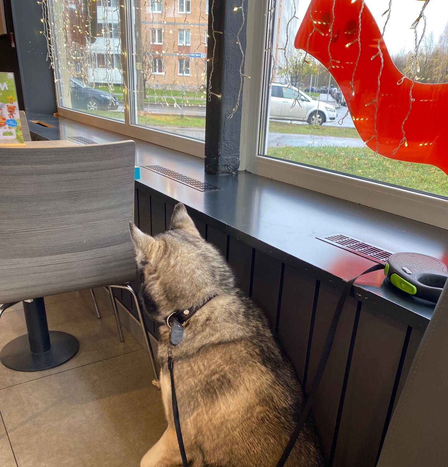 Додо Пицца, пиццерия на Парковой улице в Сосновом Бору 🍴 отзывы, адрес ...