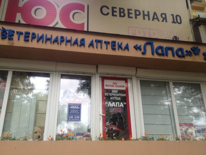 Лапа северная ул 10 микрорайон центральный фото
