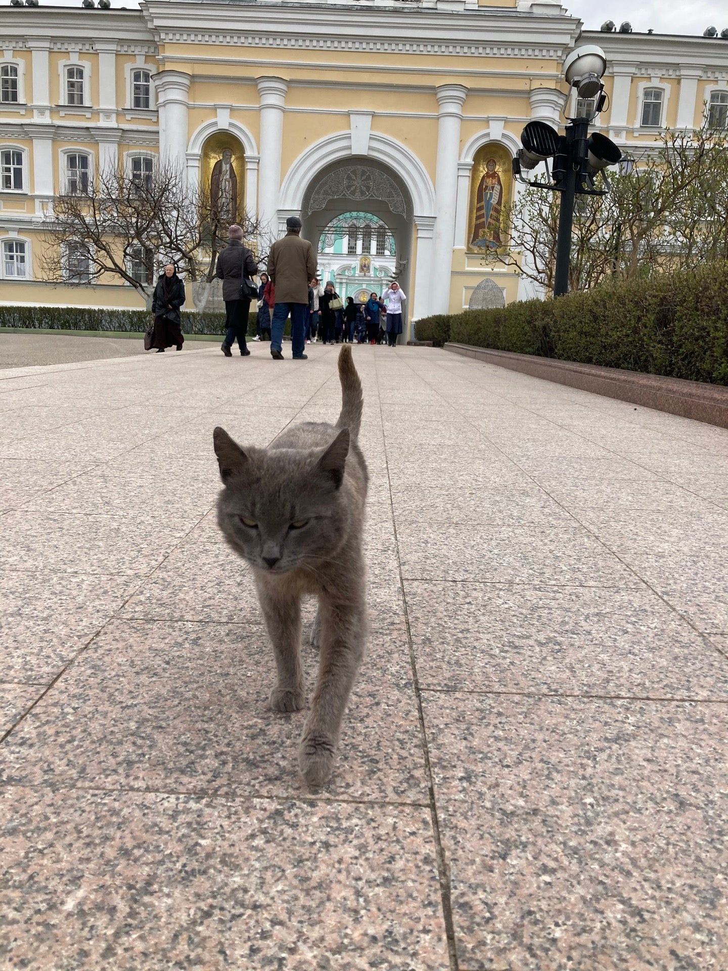 Храмы, соборы, церкви в Нижнем Новгороде: адреса и телефоны, 251 культурное  место, 17 отзывов, фото и рейтинг церквей – Zoon.ru