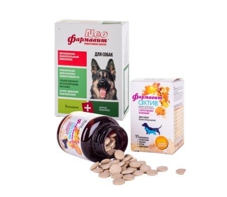 Комплексные витамины для детей. Витамины виде животных. Витамины с животными для детей. 21 century мультивитамины. Мультивит минералы для крс.