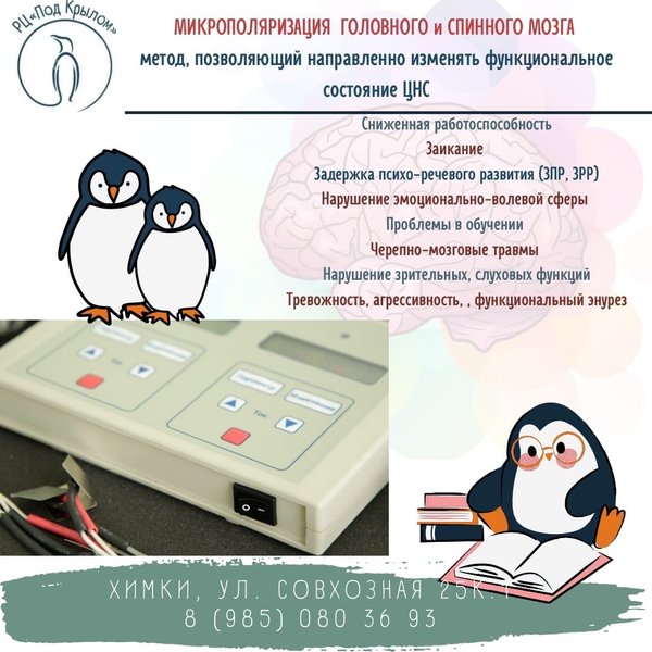 электрофорез при задержке речевого развития. микрополяризация головного мозга. транскраниальная микрополяризация аппарат. микрополяризация головного мозга детям отзывы. микрополяризация головного мозга детям методика проведения.