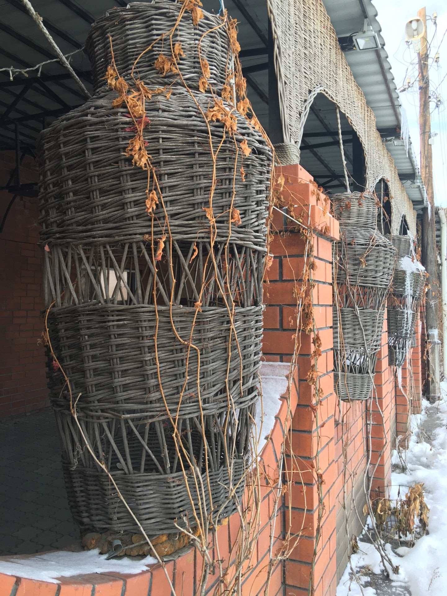 Все заведения на Боровой улице - телефоны, фотографии, отзывы - Челябинск -  Zoon.ru