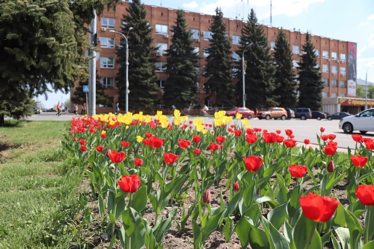 Павловский посад изображение цветов