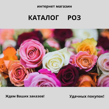 Сорта роз для садов и парков