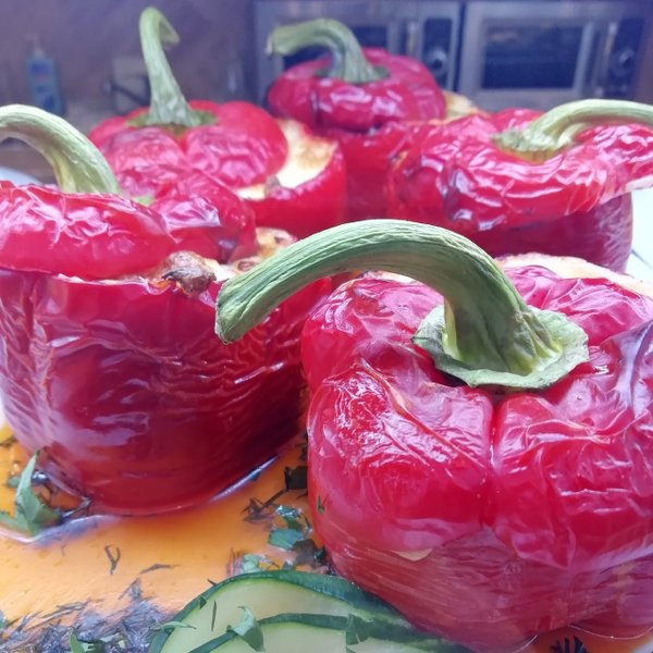 Кафе кама лаишево