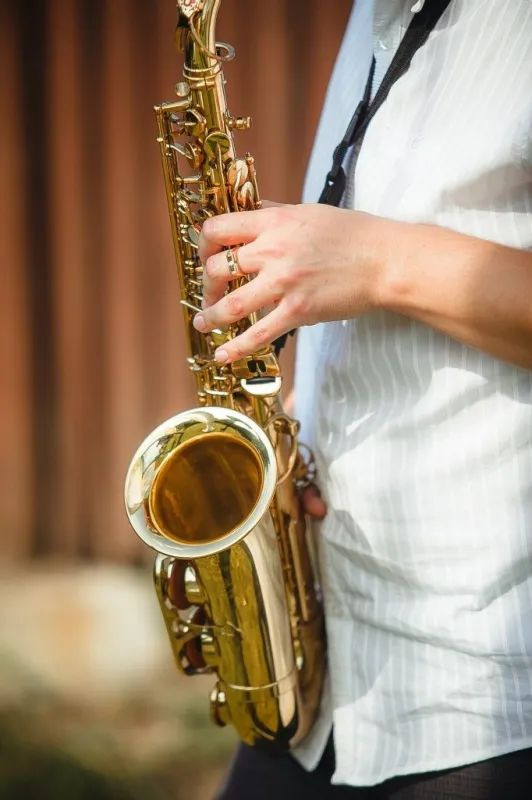 премьера гатова краснодар ольховский леонид. золотые музыканты. юбилей челябинского оркестра малахит. золотой музыкантов. золотой музыкантов.