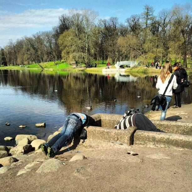 Гатчинский городской