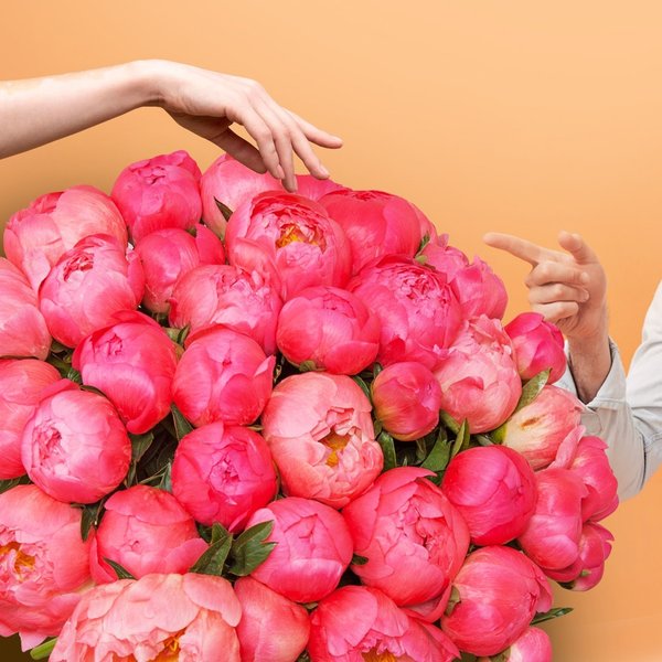 Amf служба доставки цветов цветы купить с доставкой саратов