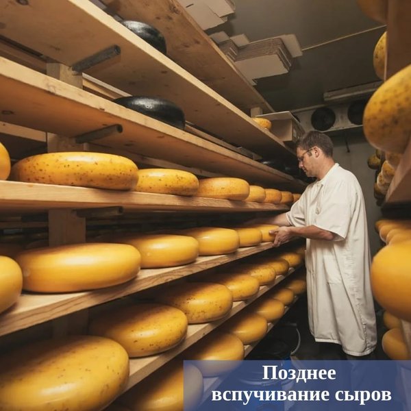 торжок итальянская сырная ферма пьетро мацца. сыр ферма. итальянская ферма la fattoria little italy. сыры ферма. сыры ферма.