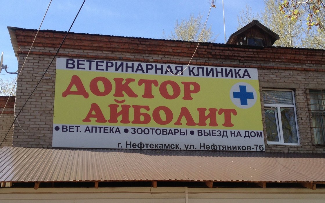 Айболит ул николаева 51 смоленск фото