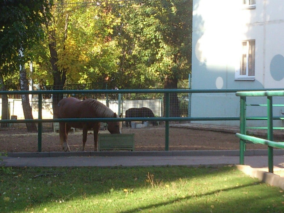 Детский эколого биологический центр. Московский детский эколого-биологический центр. Таманский биологический центр. Эколого-биологический центр «Фламинго» (ул. Лазо, 32). Центр экологии Одесская 12.