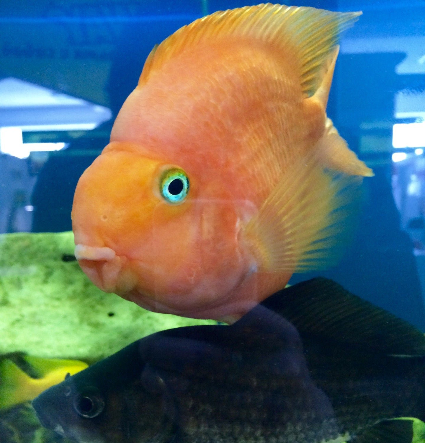 Торговый центр Строймастер на Ласьвинской улице - адрес, часы работы ...