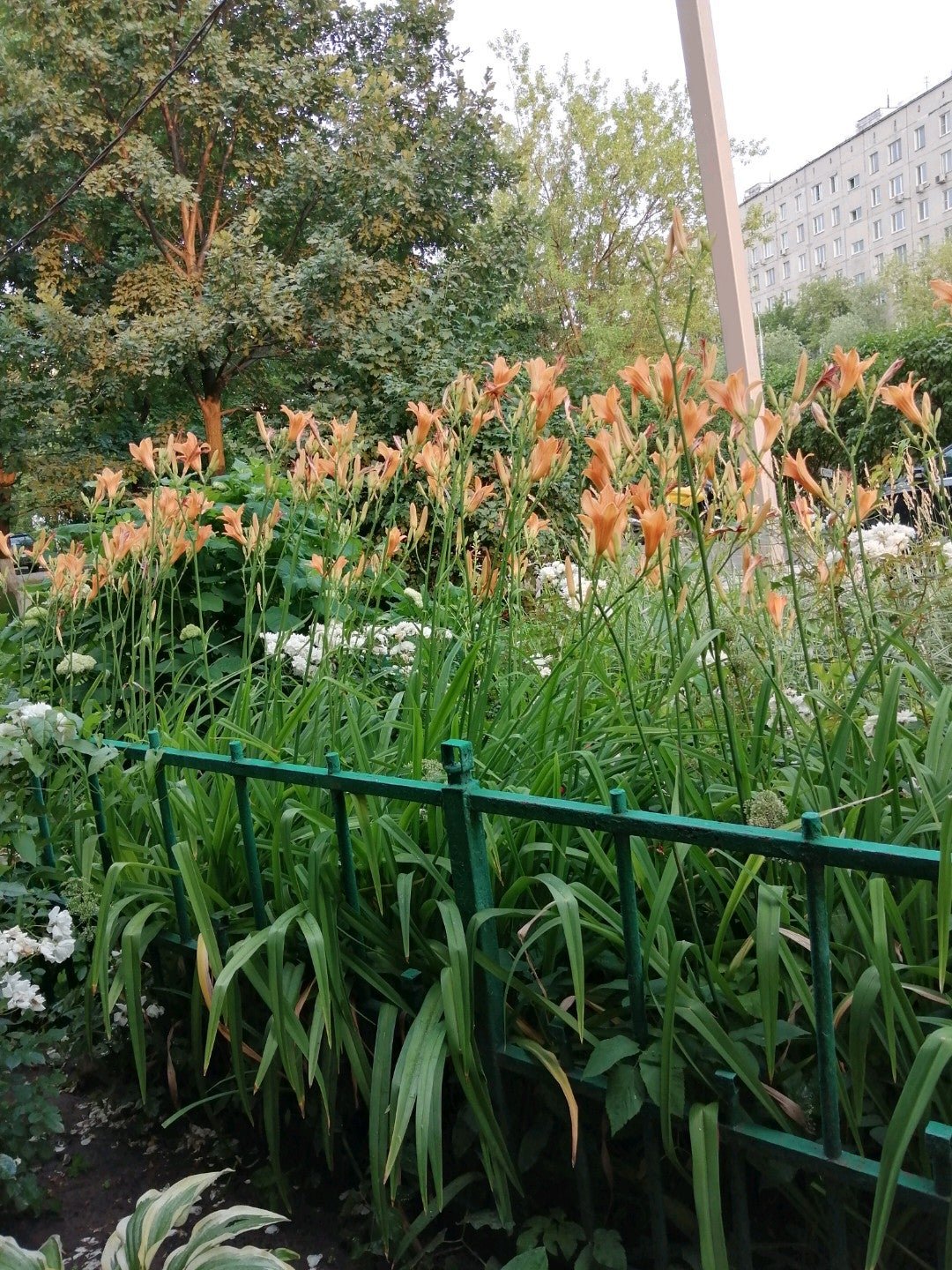 Магазин снаряжения и одежды для туризма и отдыха Сплав на метро ...