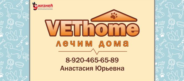 часы работы 9 жизней