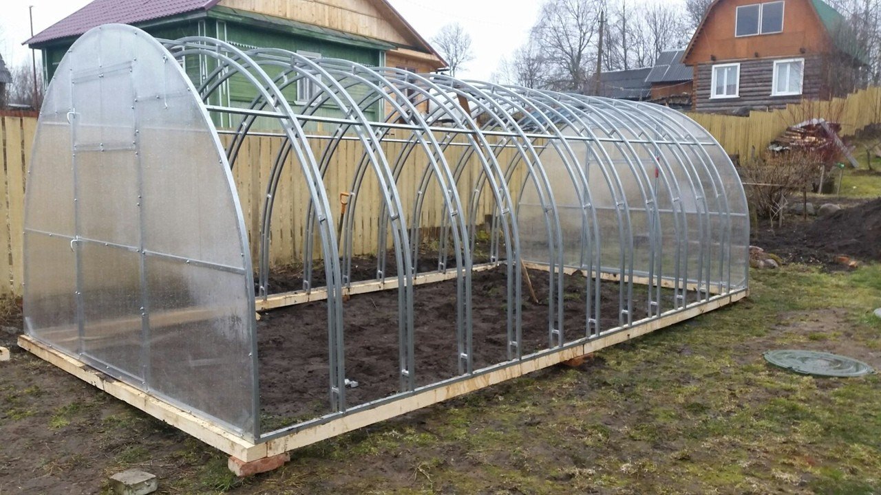 Комплек теплица "апрель" 3*8*2,1 м (двойная дуга, 7 прогонов). Усиленная теплица из поликарбоната. Теплица агроном люкс. Теплицы из поликарбоната дуга. Теплицы из поликарбоната дуга.